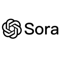 Sora视频